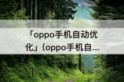 「oppo手机自动优化」(oppo手机自动优化怎样设置)