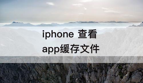 iphone 查看 app缓存文件