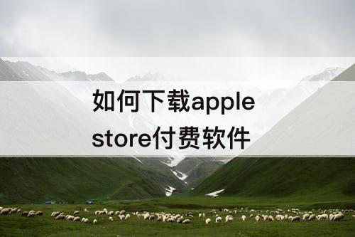 如何下载apple store付费软件