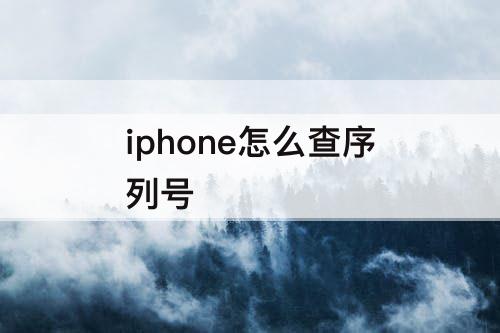 iphone怎么查序列号