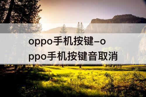 oppo手机按键-oppo手机按键音取消