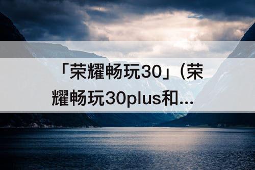 「荣耀畅玩30」(荣耀畅玩30plus和荣耀play5哪个好)