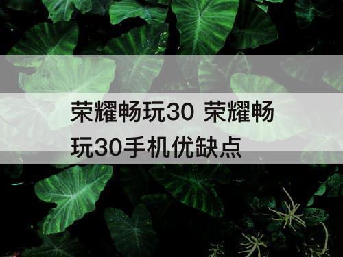 荣耀畅玩30 荣耀畅玩30手机优缺点