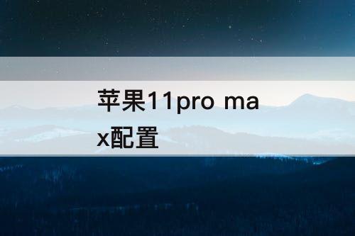 苹果11pro max配置