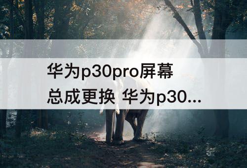 华为p30pro屏幕总成更换 华为p30pro屏幕总成更换视频