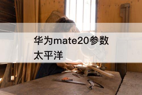 华为mate20参数太平洋