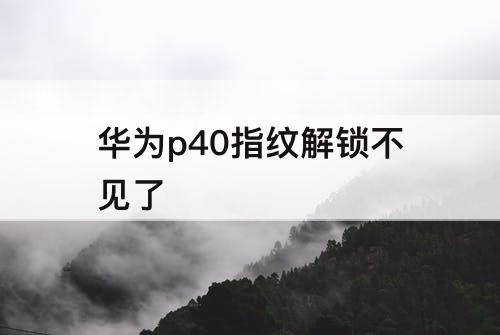 华为p40指纹解锁不见了