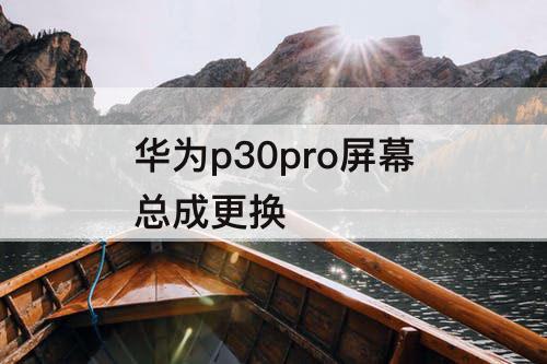 华为p30pro屏幕总成更换