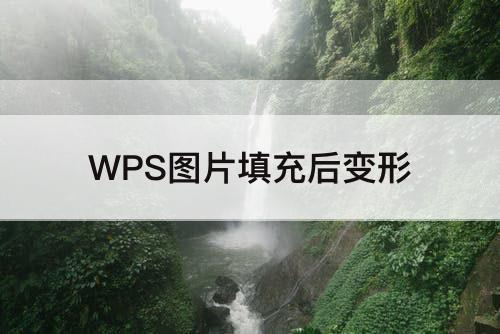 WPS图片填充后变形