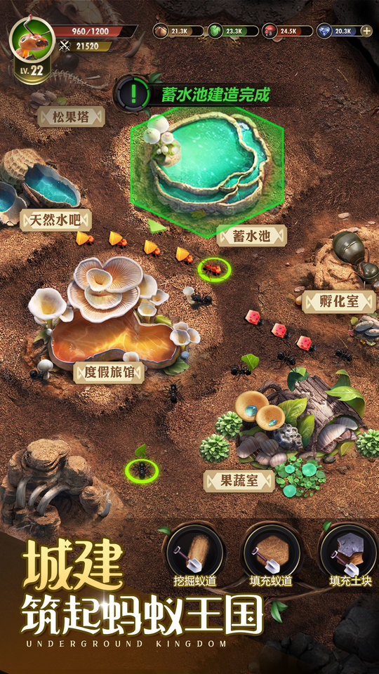 小小蚁国37最新版  v1.49.0图3