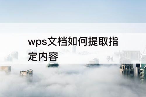 wps文档如何提取指定内容