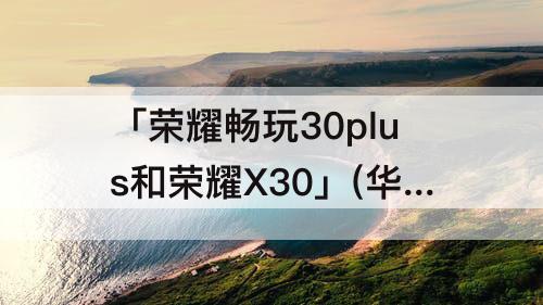 「荣耀畅玩30plus和荣耀X30」(华为荣耀畅玩30plus和荣耀x30哪个好)