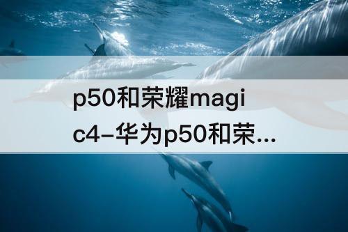 p50和荣耀magic4-华为p50和荣耀magic4