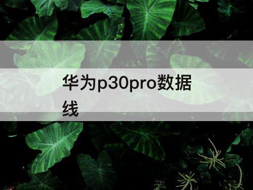 华为p30pro数据线