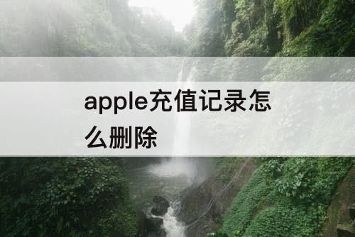 apple充值记录怎么删除