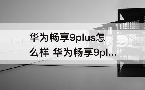 华为畅享9plus怎么样 华为畅享9plus怎么样分屏