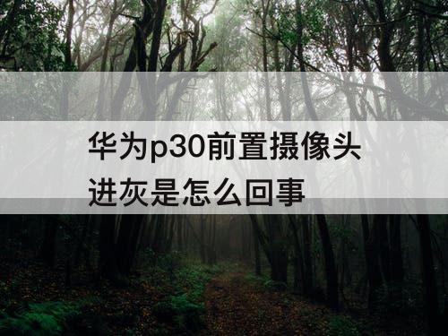 华为p30前置摄像头进灰是怎么回事