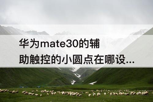 华为mate30的辅助触控的小圆点在哪设置