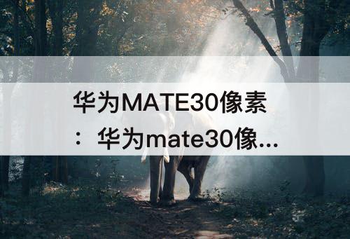 华为MATE30像素：华为mate30像素多少万像素