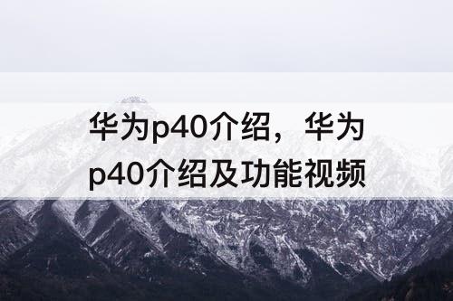 华为p40介绍，华为p40介绍及功能视频