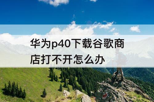 华为p40下载谷歌商店打不开怎么办