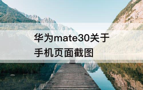 华为mate30关于手机页面截图