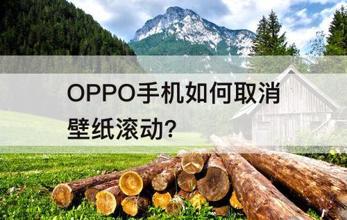 OPPO手机如何取消壁纸滚动?