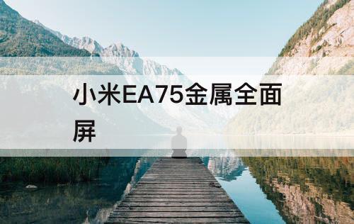 小米EA75金属全面屏