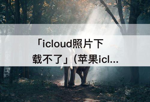 「icloud照片下载不了」(苹果icloud照片下载不了到本地)