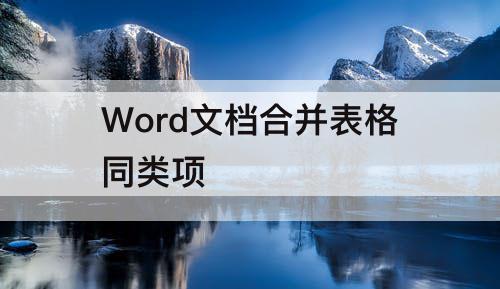 Word文档合并表格同类项