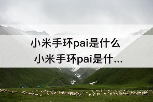 小米手环pai是什么 小米手环pai是什么值