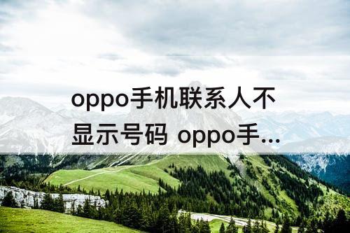 oppo手机联系人不显示号码 oppo手机联系人不显示号码怎么回事