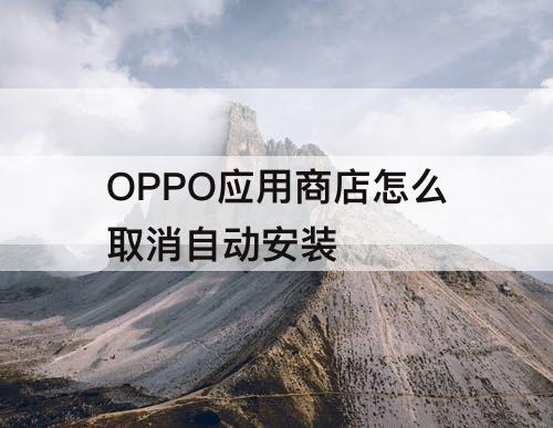 OPPO应用商店怎么取消自动安装