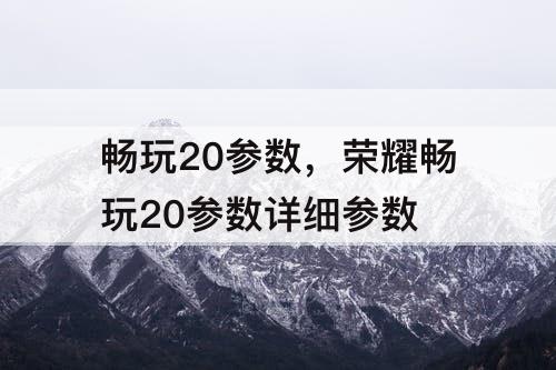 畅玩20参数，荣耀畅玩20参数详细参数