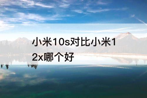 小米10s对比小米12x哪个好