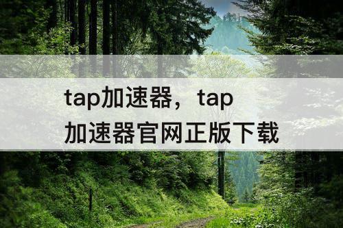 tap加速器，tap加速器官网正版下载