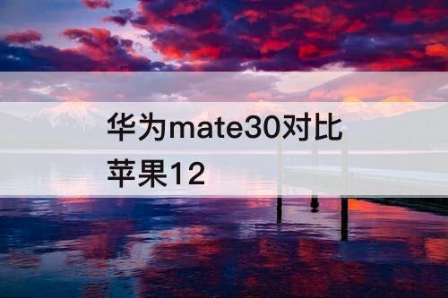 华为mate30对比苹果12