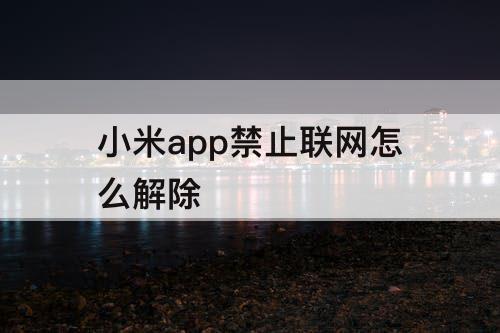 小米app禁止联网怎么解除