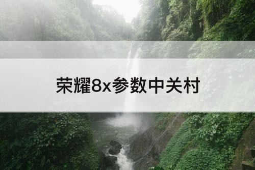 荣耀8x参数中关村