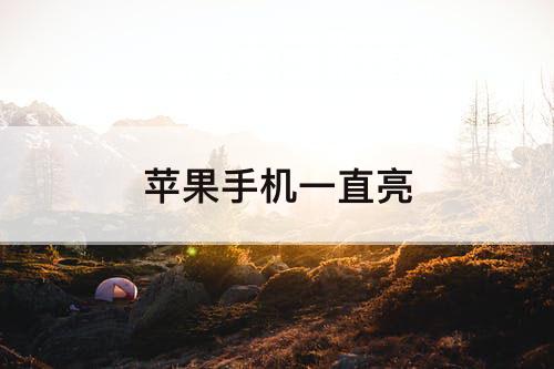 苹果手机一直亮