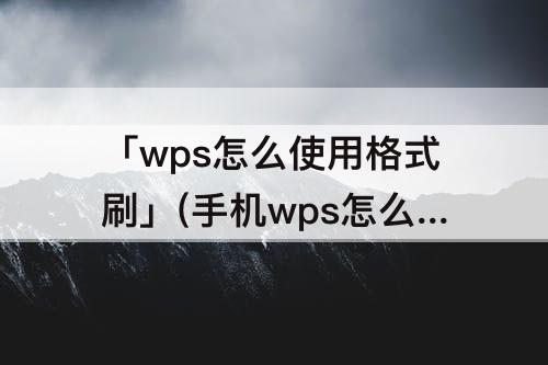 「wps怎么使用格式刷」(手机wps怎么使用格式刷步骤)