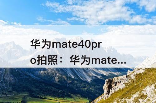 华为mate40pro拍照：华为mate40pro拍照翻译功能