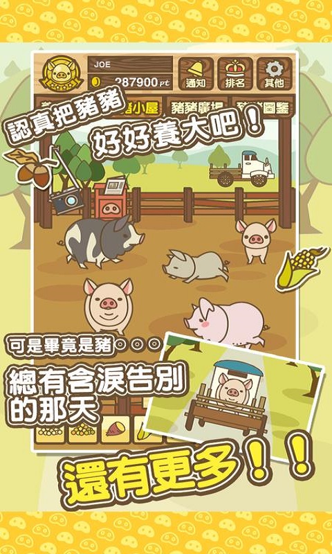 养猪场mix传说级猪种  v8.2图2