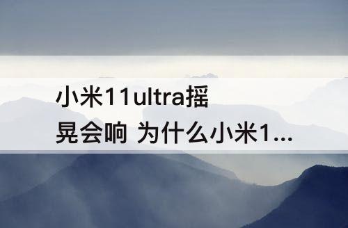 小米11ultra摇晃会响 为什么小米11ultra摇晃会响