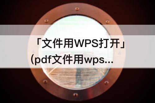 「文件用WPS打开」(pdf文件用wps打开)