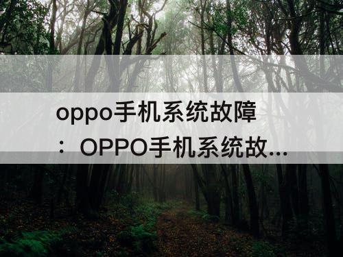 oppo手机系统故障：OPPO手机系统故障检测