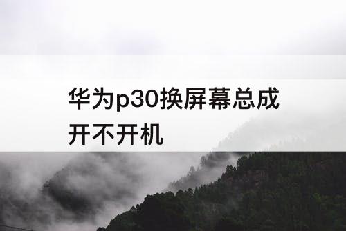 华为p30换屏幕总成开不开机