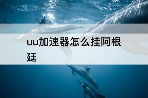 uu加速器怎么挂阿根廷