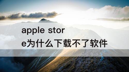 apple store为什么下载不了软件