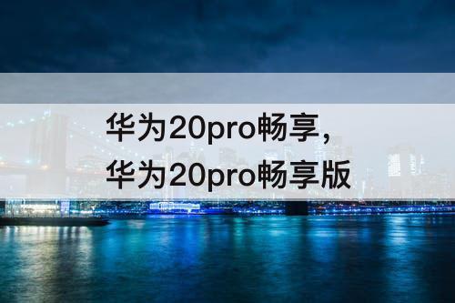 华为20pro畅享，华为20pro畅享版